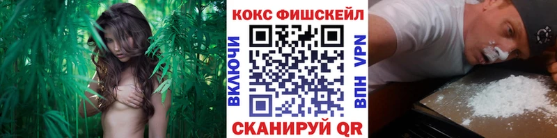 Кокаин Columbia  Сыктывкар 