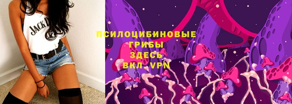 ПСИЛОЦИБИНОВЫЕ ГРИБЫ Алексеевка