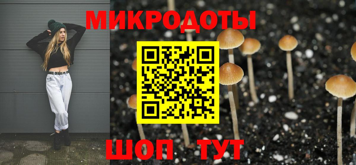 Галлюциногенные грибы MAGIC MUSHROOMS  Вход с VPN  Сыктывкар  Псилоцибиновые грибы Psilocybe 