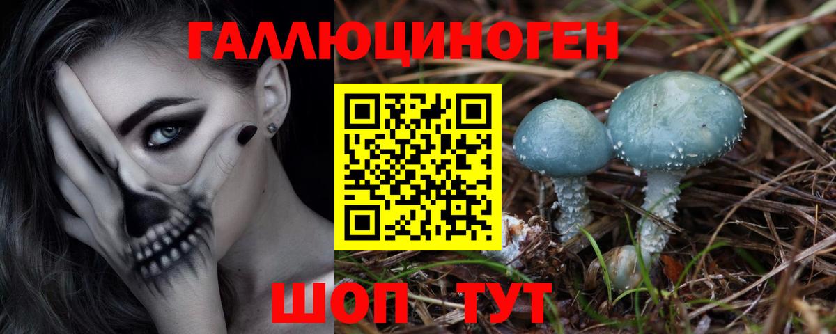 Галлюциногенные грибы MAGIC MUSHROOMS Сыктывкар